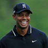 tiger woods 100x100